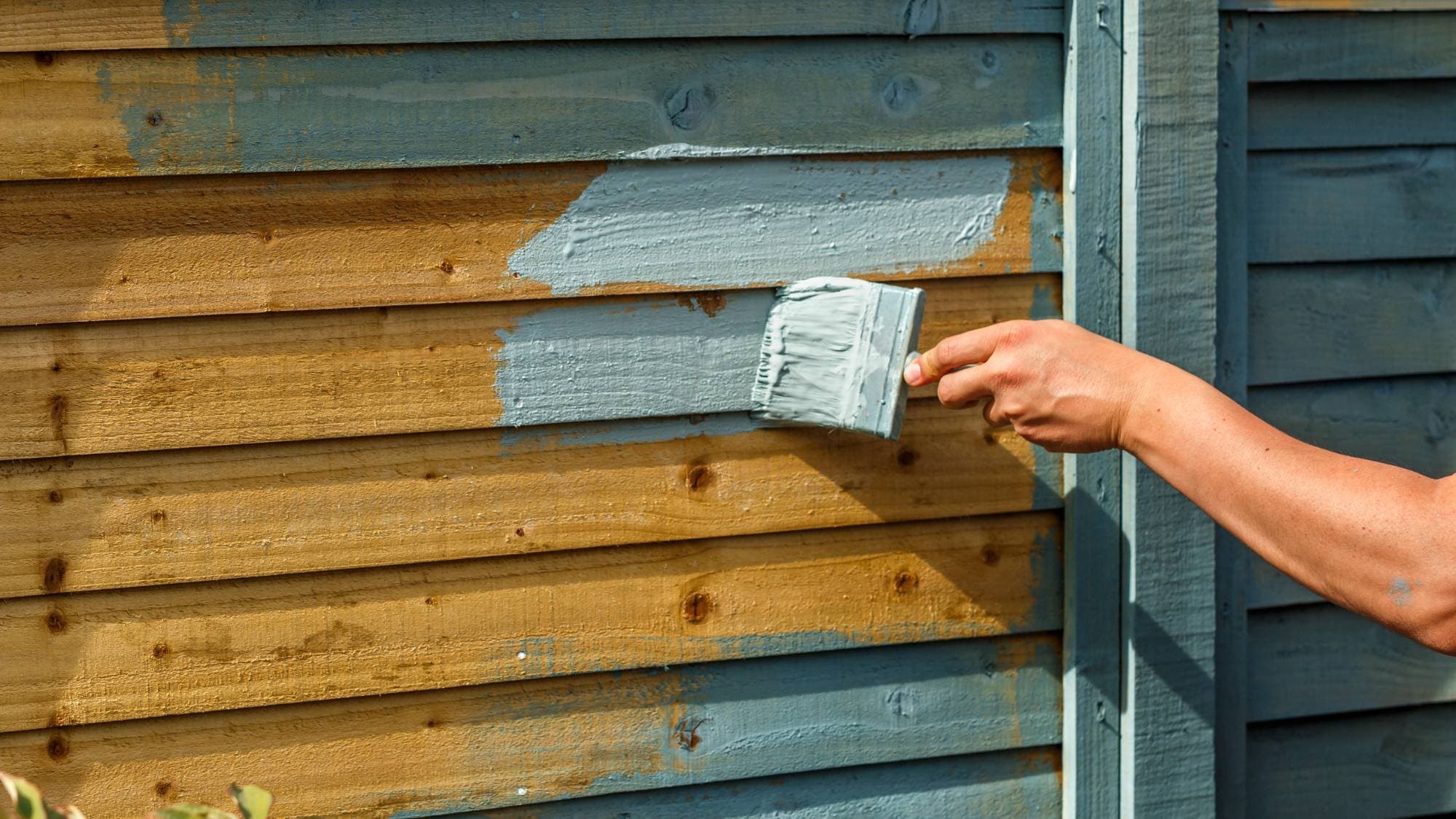 A person’s hand is painting a wooden fence with light blue paint using a large brush. The fence is partially painted, showing both the original wood color and the new blue color.
