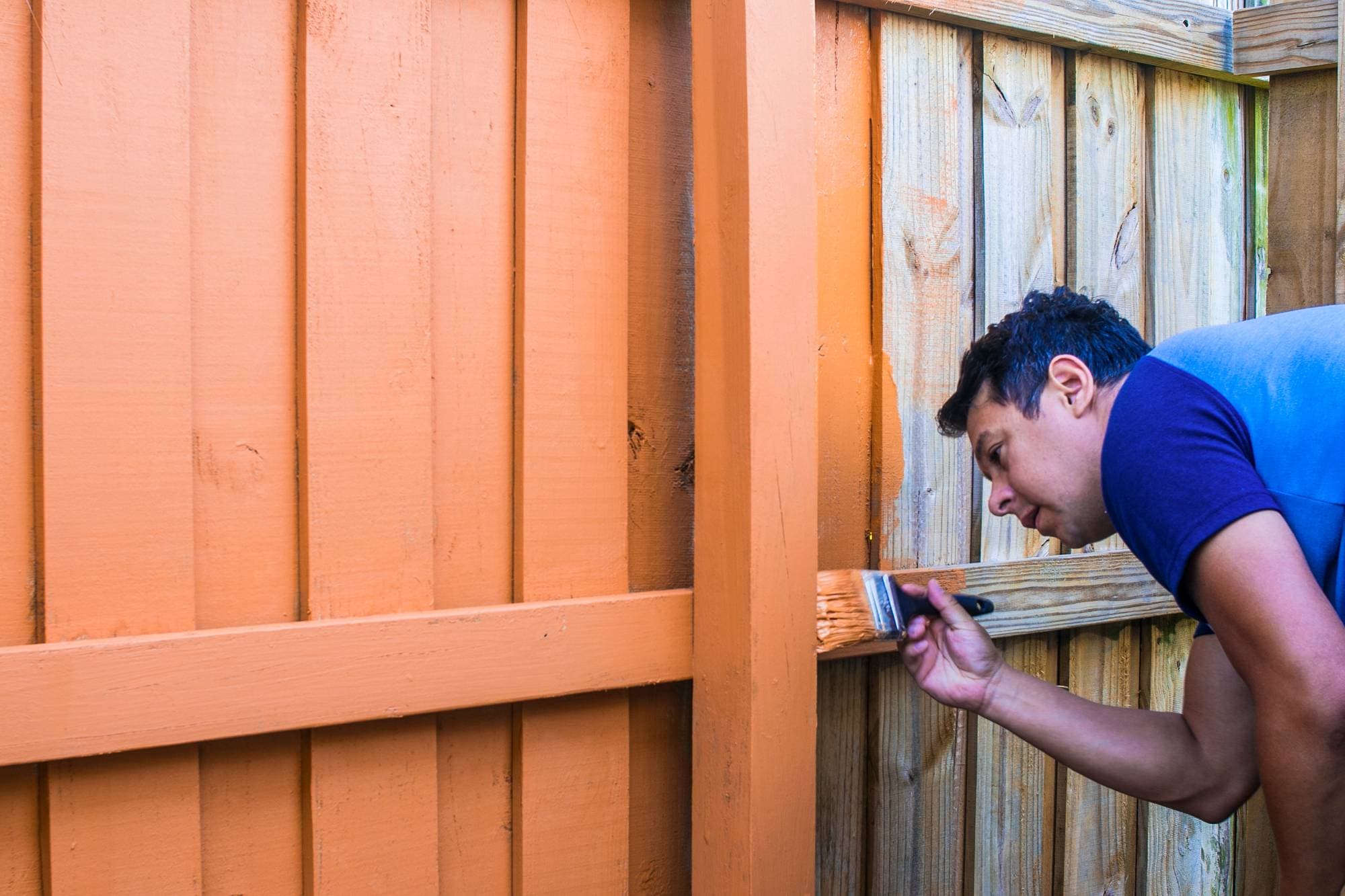 A man painting a wooden fence orange with a brush, focusing intently on the task. The fence panels behind him are partially painted.