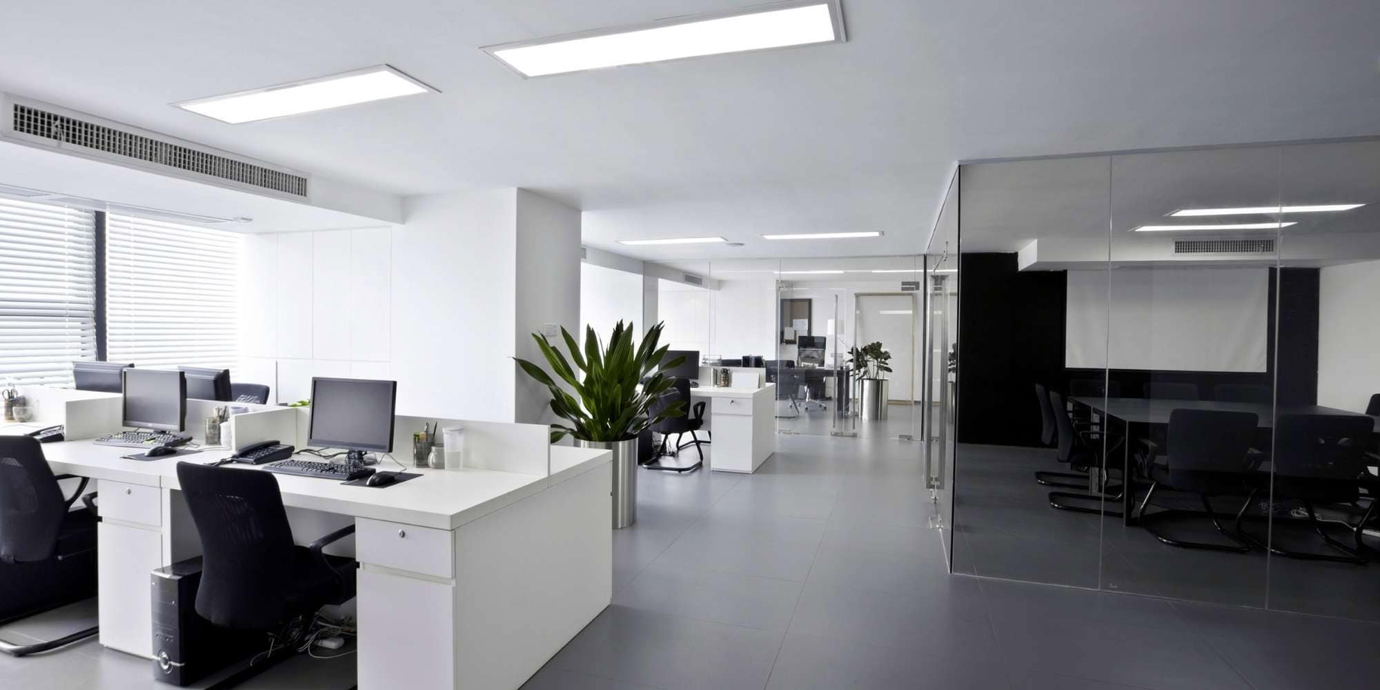 Modern, bright office with white desks, computers, and a large green plant. Glass-walled meeting room is visible on the right. Recently refreshed by Painter Macomb & Oakland Counties, MI, the space is tidy and well-lit with natural and ceiling lights.