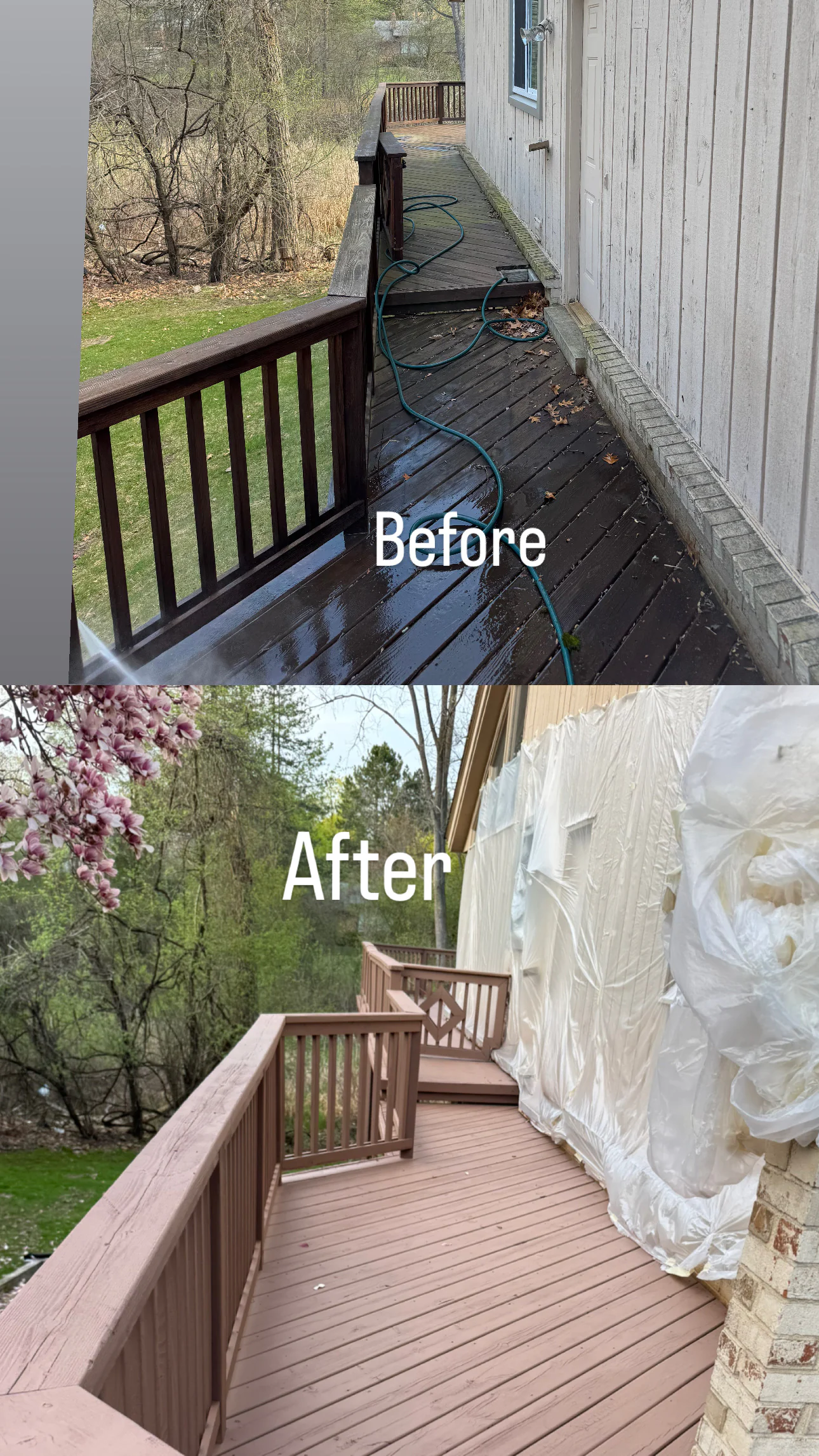 Before and after images of a wooden deck in MI: the "Before" photo shows an old, worn, and wet deck with a hose; the "After," by Painters Macomb & Oakland County, reveals a freshly painted, renovated surface looking clean and bright.