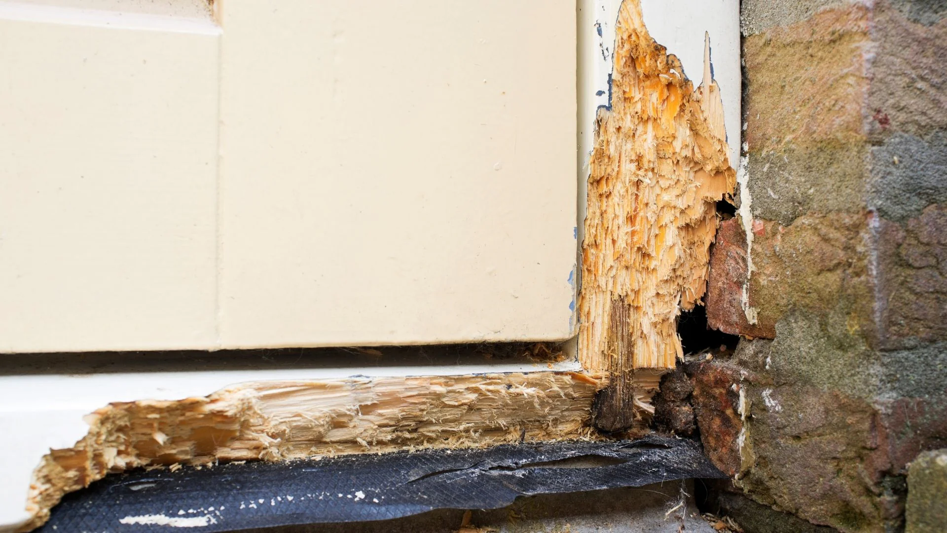 Severely rotted wooden door frame showing extensive water damage at the bottom corner near brick wall.